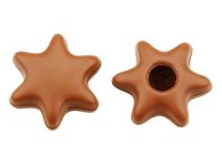 1 Folie Hohlkörper Stern Vollmilch