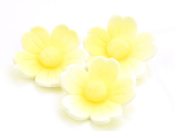 Blumen 40mm weiß-gelb Zucker 6 Stück