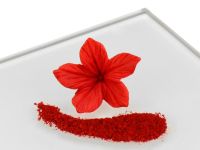 Puderfarbe Radical Red 2g