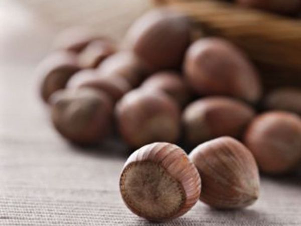 FunCakes Aromapaste Haselnuss 100g