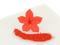 Puderfarbe Poppy Red 2,5g