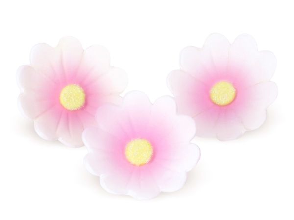 Blumen 40mm weiß-rosa Zucker 6 Stück