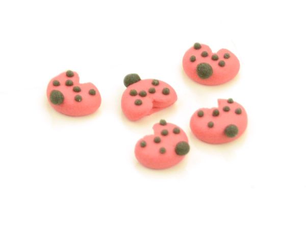 Glückskäfer 11mm Zucker 9 Stück