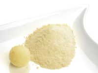 Fruchtpulver Limette 100g