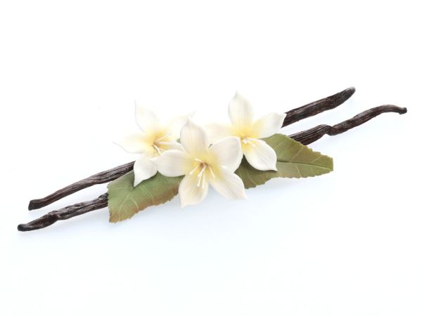 Gourmet Vanille Schote 1 Stück