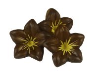 1 Folie Schokoladen-Blüten Zartbitter